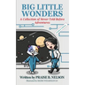 Big Little Wonders: A Collection of Never-Told-Before Adventures Fun Books for 6 - 8 Year Old Girls or Boys Cute Cat Bedtime Stories Devot