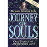 Journey of Souls: Case Studies of Life Between Lives