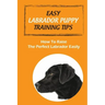 Easy Labrador Puppy Training Tips: How To Raise The Perfect Labrador Easily: Crate Training Guide For Labrador