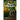 Peepal Euphonies
