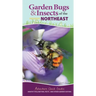 Garden Bugs & Insects of the Northeast: Identify Pollinators, Pests, and Other Garden Visitors