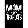 Mom Of Triplets: Family Collection