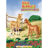 Ittie Biddie's ADVENTURES ( Itty-Biddie Problem)
