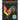 Chickens and Roosters Coloring Book for Adults: Stress-relief Coloring Book For Grown-ups