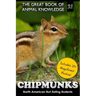 Chipmunks: North American Nut-Eating Rodents