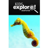 Seahorse - Kids Explore: Animal books nonfiction - books ages 5-6