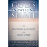 God's Indwelling Spirit