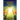 Jesus Christ The Only Way To Heaven Jesus Christ The Only Truth Jesus Christ The Only Life In One Volume