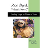 Zoe Died. What Now?: Finding Hope in Times of Loss