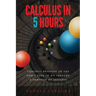 Calculus in 5 Hours: Concepts Revealed so You Don't Have to Sit Through a Semester of Lectures