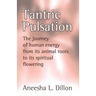 Tantric Pulsation