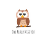 Owl Really Miss you: Perfect goodbye gift for coworker that is leaving / going away gift for your co worker, boss, manager, employee.