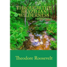 Through the Brazilian Wilderness