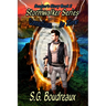 Stormwalker Series Connections in Time Seadon's Story (Book2)