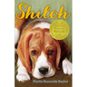 Shiloh