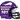 Minnesota Vikings 101