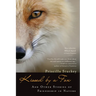 Kissed by a Fox: And Other Stories of Friendship in Nature