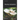 Pleurotus Nebrodensis: A Very Special Mushroom