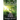 In the Light of Day