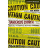 Dangerous Church: Risking Everything to Reach Everyone