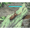 About Insects: A Guide for Children (Educational Science Book about Bugs for Stem Learning)