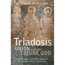 Triadosis: Union with the Triune God: Interpretations of the Participationist Dimensions of Paul's Soteriology