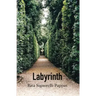 Labyrinth