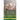 The Key to Theosophy: The Classic Introductory Manual to the Theosophical Society and Movement by Its Co-Founder, Madame Blavatsky (Hardcove