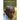We Cannot Forget: Interviews with Survivors of the 1994 Genocide in Rwanda
