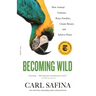Becoming Wild: How Animal Cultures Raise Families, Create Beauty, and Achieve Peace