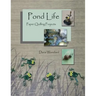 Pond Life: Paper Quilling Projects