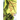 The Dragon Slayer's Son