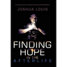 Finding Hope in the Afterlife: An Honest Account of My Spiritual Journey and Afterlife Research