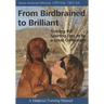 From Birdbrained To Brilliant: Training The Sporting Dog To Be A Great Companion
