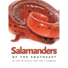 Salamanders of the Southeast