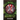 Release Day
