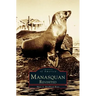 Manasquan Revisited