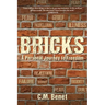 Bricks: A Personal Journey to Freedom