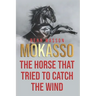 Mokasso, the horse that tried to catch the wind