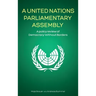 A United Nations Parliamentary Assembly: A policy review of Democracy Without Borders