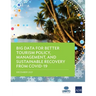 Big Data for Better Tourism Policy, Management, and Sustainable Recovery from Covid-19