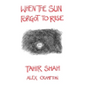When the Sun Forgot to Rise