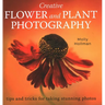 Creative Flower and Plant Photography: Tips and Tricks for Taking Stunning Shots
