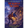 The Secret of the Caves: An Impact Book