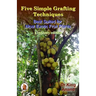 Five simple grafting techniques best suited for most exotic fruit plants (Economy Edition)