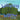 The Weeping Willow Tree
