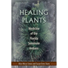 Healing Plants: Medicine of the Florida Seminole Indians