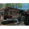 Black Bear Goes to San Francisco: Another Black Bear Sled Dog Adventure