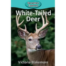 White-Tailed Deer