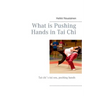 What is Pushing Hands in Tai Chi